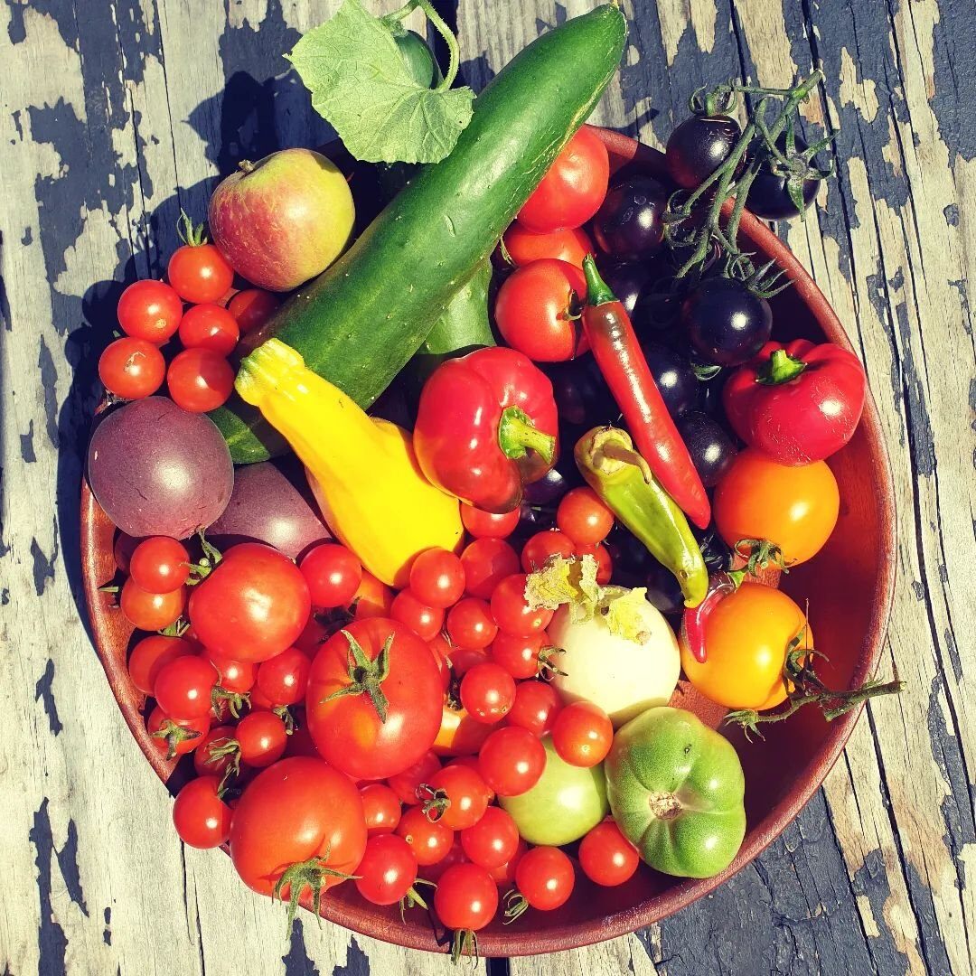 Photo by user thebistrotaupo, caption reads Today's wee harvest