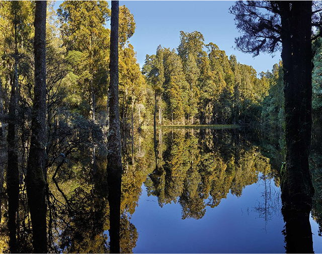 Placeholder Image (17)