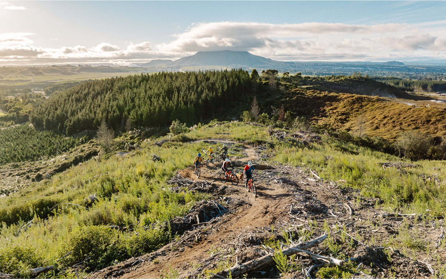 Placeholder Image (19)